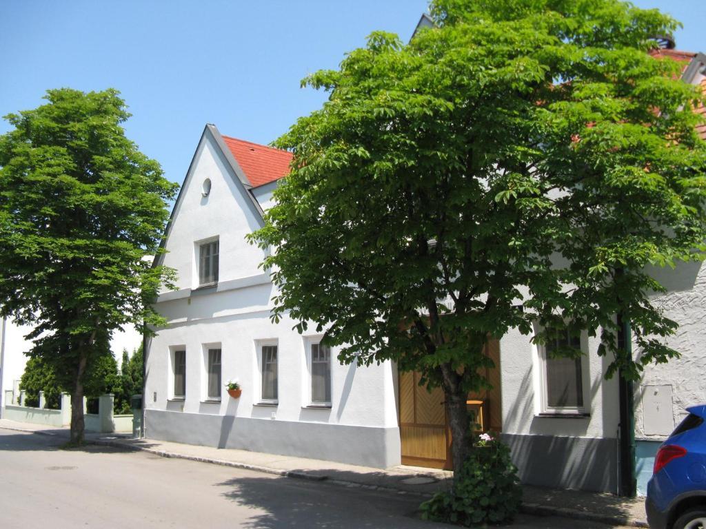 Stieglerhof Kg -Apartments Illmitz- エクステリア 写真